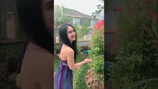 Download Lagu bellanova lagi menyiram tanaman MP3