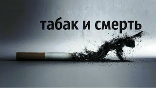 правда о табаке - Фахреев В.А. правда о табаке - Фахреев В.А.