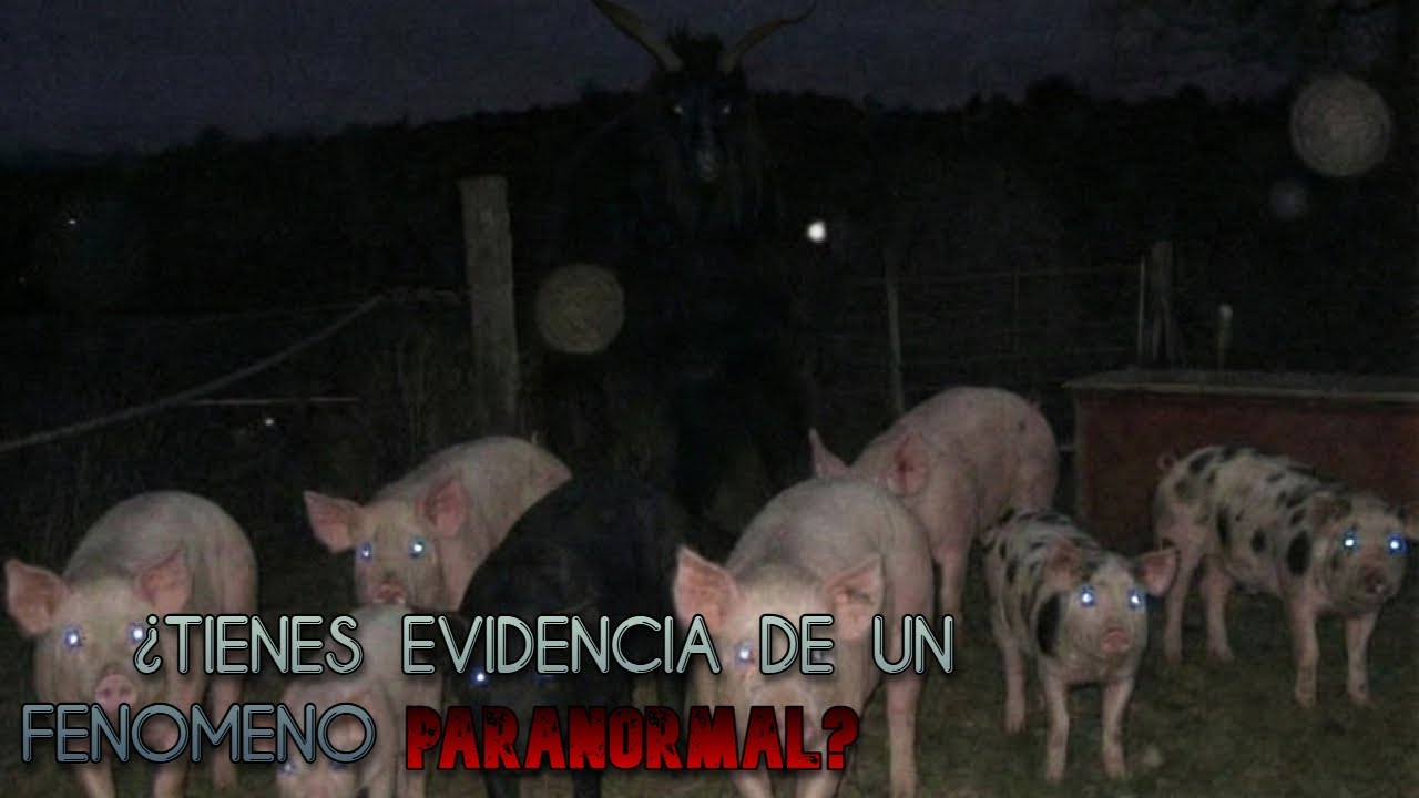 CASOS ATERRADORES - RELATOS DE FACEBOOK 2