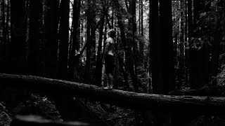 Had I Wings | Black & White Version @JoshuaChenCavalier