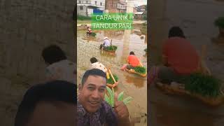 Unique to plant Pady, cara unik perlu di contoh Tanam Padi