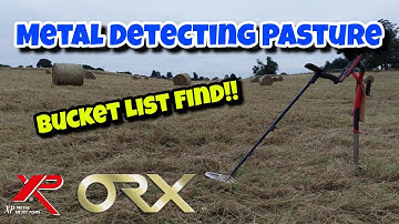 Ep 13 Metal Detecting Pasture UK 2021 | Bucket List Find | Loads Of Signals | XP ORX Metal Detecting