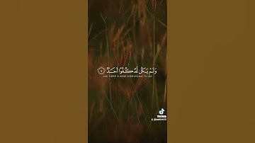 سورة الإخلاص تلاوة خاشعة