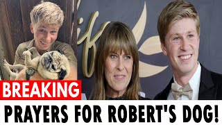 Terri Irwin Asks for Prayers for Robert Irwin’s Dog Following Health Scare