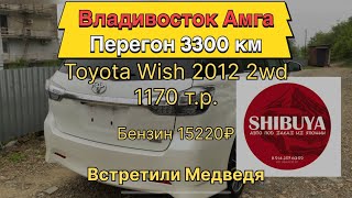 :   .     Shibuya Toyota Wish 20   7 