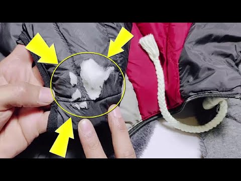 Video: Shortslarni qisqartirishning 3 oson usuli