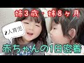 【1日密着】生後8ヶ月赤ちゃんの1日【3歳・0歳2人育児】