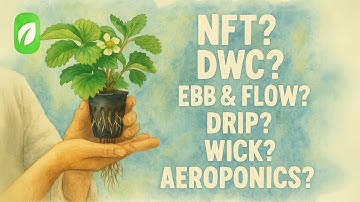 6 Different Hydroponics Systems Explained