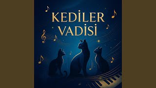 Ben Kedi Annesiyim Remix