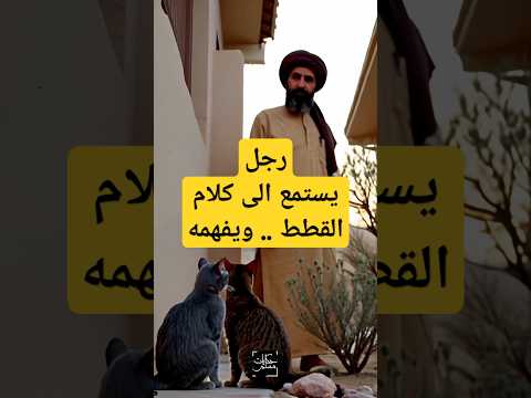 قصة سيدنا سليمان و الرجل الذي تعلم لغة القطط حكايات مسلم حكايات