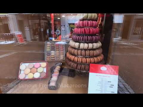 ALSACE, FRANCE: Mulhouse Ville | Shopping Centre | Tramways | Hiver/Winter Season | Dog Walking