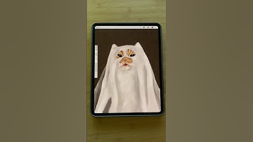 Procreate cat painting tutorial #procreatetutorials #procreate #beginnerarttips