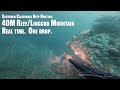 40M Reef/Lingcod Mountain.  Real time.  One drop.