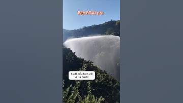 Tưới cà phê với béc 4 tia BT41 pro #bectuoiBACTHAO