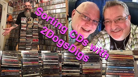 Sorting CDs Into Sellable Groupings with 2DogsDigs