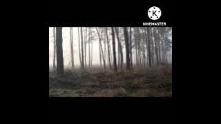 beautiful scenery of  nature#virelvideo  #treanding