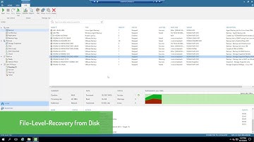 05. HPE NimbleStorage & Veeam - File-Level-Recovery from Disk