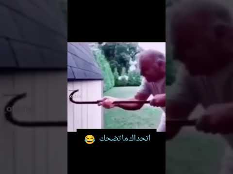 مقطع ثوانى هتفصل ضحك  