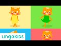 If You Are Wearing Red ❤️ 💃 - Colors Song for Kids | Lingokids