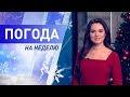 Погода на неделю 11 – 17 января 2021. Прогноз погоды. Беларусь | Метеогид