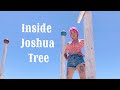 Hicksville Trailer palace in Joshua tree!