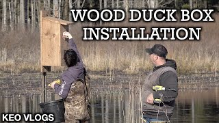 Installing A Wood Duck Nesting Box