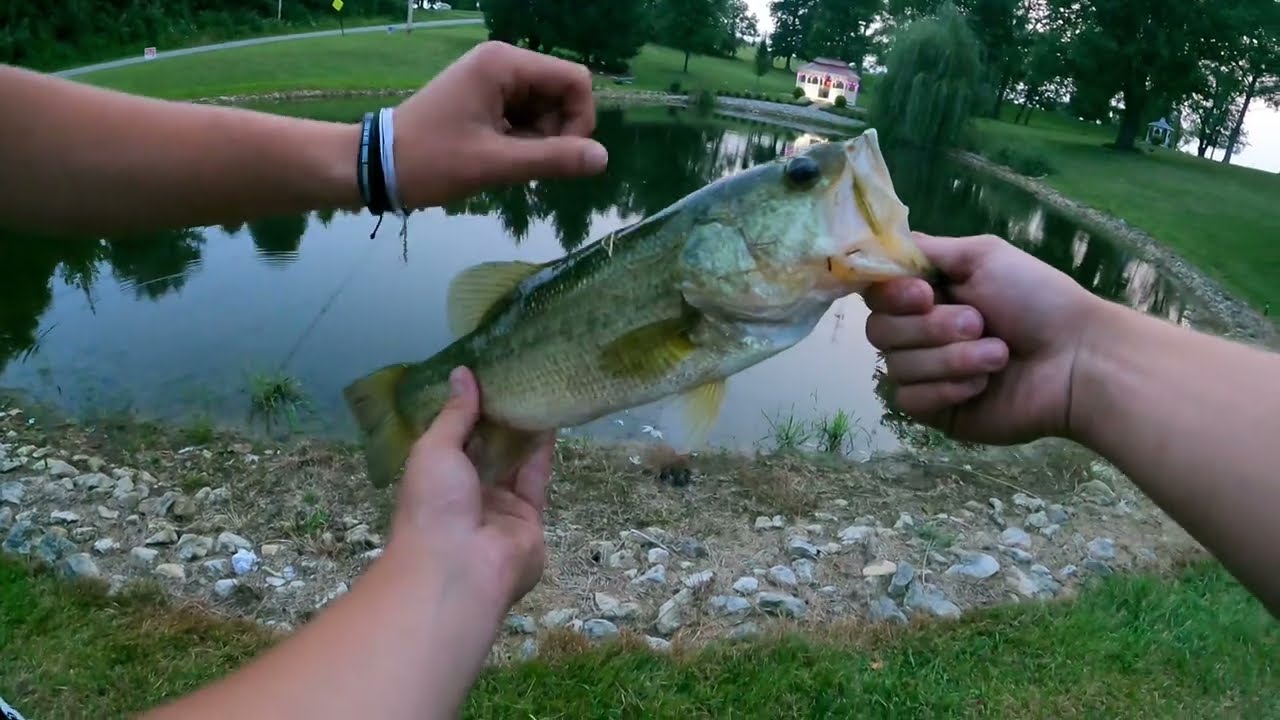 BASS fishing in a NEW POND!