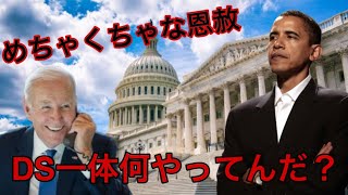 警察官ゆりのアメリカ生活の配信のサムネイル画像