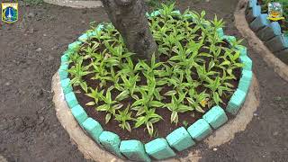 PENATAAN KAWASAN UNGGULAN RAWAJATI SELASA 29 DESEMBER 2025