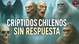 Criptidos Inexplicables De Chile Enigmas Oscuros Que Siguen Sin Respuesta