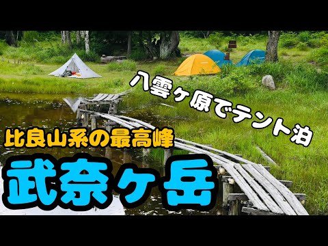 八雲ヶ原でテント泊！武奈ヶ岳