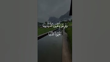 الله يبسط الرزق لمن يشاء // تلاوة القرآن الكريم بصوت ماهر المعيقلي