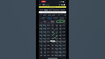 How To Buy A Put Option in the IBKR App