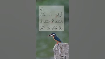 احمد خضر.سورة الاحقاف