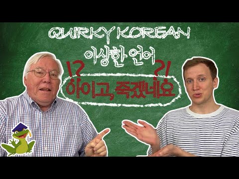 미국인 한국학&언어학 박사들이 말하는 이상한 한국어?? Quirky Korean