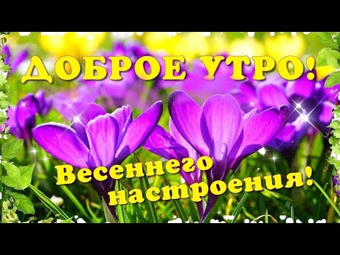 ДОБРОЕ УТРО🌸ЯРКИХ СОБЫТИЙ В НОВОМ ДНЕ🌸