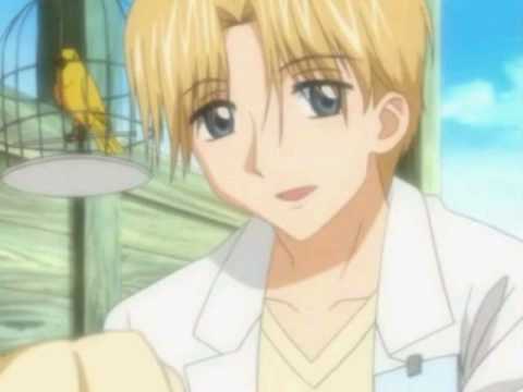 Download Gakuen Alice Grown Up Youtube For Android Free Get Wallpaper Gakuen Alice Grown Up Youtube Desktop Wallpaper