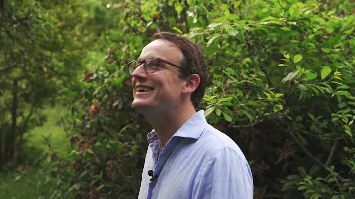 Live from Chilworth Manor