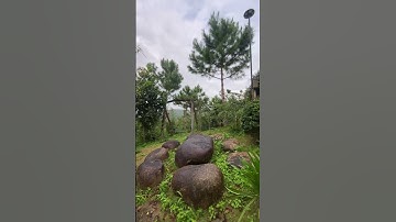 4000/m2 sẵn 400 thổ cư,Cần tiền bán luôn 5ty8