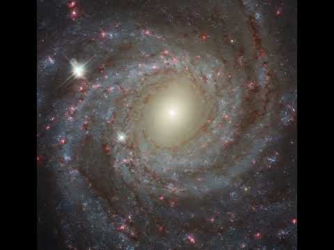 NASA Picture of