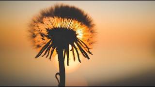 Brian Bennet, Tendres Images - Soulful emotional relaxing Piano Music, Arr.: Bobby Cyr, Piano Notion