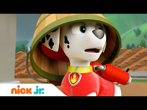 Щенячий патруль | Спасательные операции на суше - часть 1 | Nick Jr. Россия