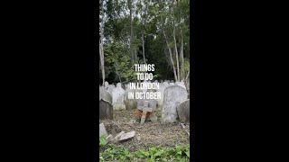 THINGS TO DO IN LONDON IN OCTOBER PART 2 | Highgate Cemetery | Londoner