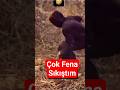 Çok Sıkıştım.  #çatlaknene
