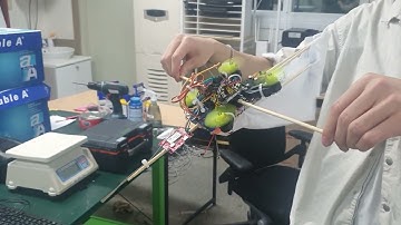 [flying squirrel drone] gliding test