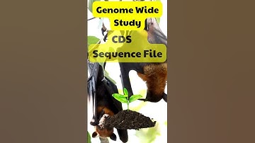 CDS file #bioinformatics #shorts #foryour