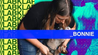 Bonnie onderzoekt stress bij dieren | LabKlap #9