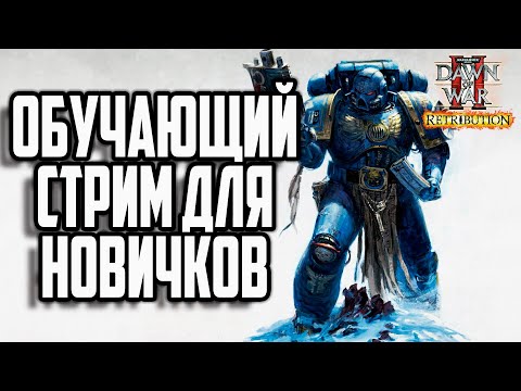 ОБУЧАЮЩИЙ СТРИМ ДЛЯ НОВИЧКОВ: Warhammer 40000 Dawn of War 2 Retribution