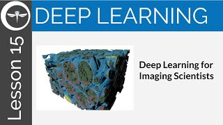 Dragonfly Daily 15 Deep Learning for Imaging Scientists (2020)