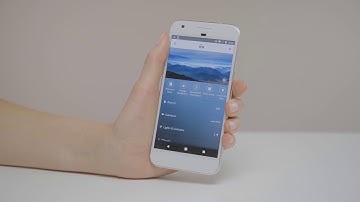 Iris Bosch Radion Motion Sensor Reset Instructions